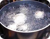 Black Pudding Tortellini Recipe