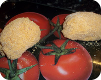 Chicken Kiev