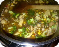 Chinese Chicken Noodle Soup Recipe