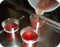 Chilli Vodka & Cranberry Jelly Shots