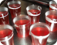 Chilli Vodka & Cranberry Jelly Shots