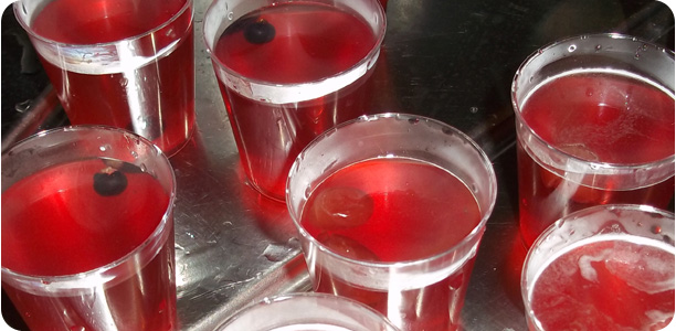 Vodka & Cranberry Jelly Shots Recipe Cook Nights by Babs and Despinaki