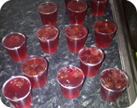 Vodka & Cranberry Jelly Shots