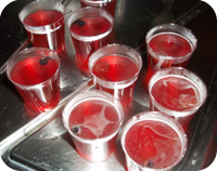 Vodka & Cranberry Jelly Shots