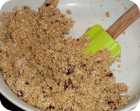 Cranberry Oatcakes