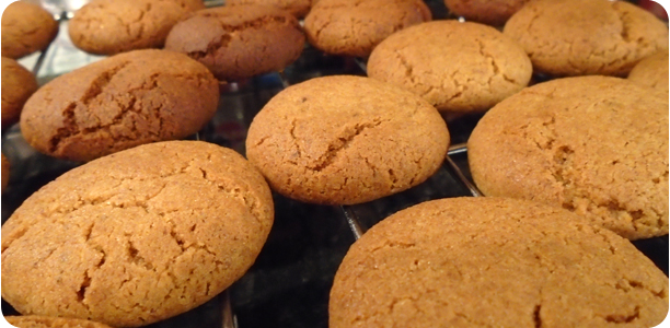Gingernut Biscuits Recipe Cook Nights by Babs and Despinaki