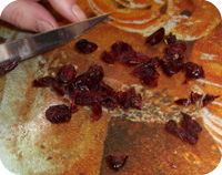 Cranberry Ice Cream Cake Recipe