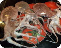 Octopus & Chorizo Stew