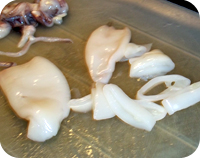 Squid with Ouzo Fennel Recipe